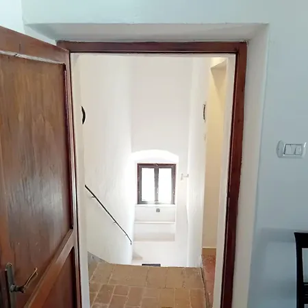 Villanera Lt35937 *